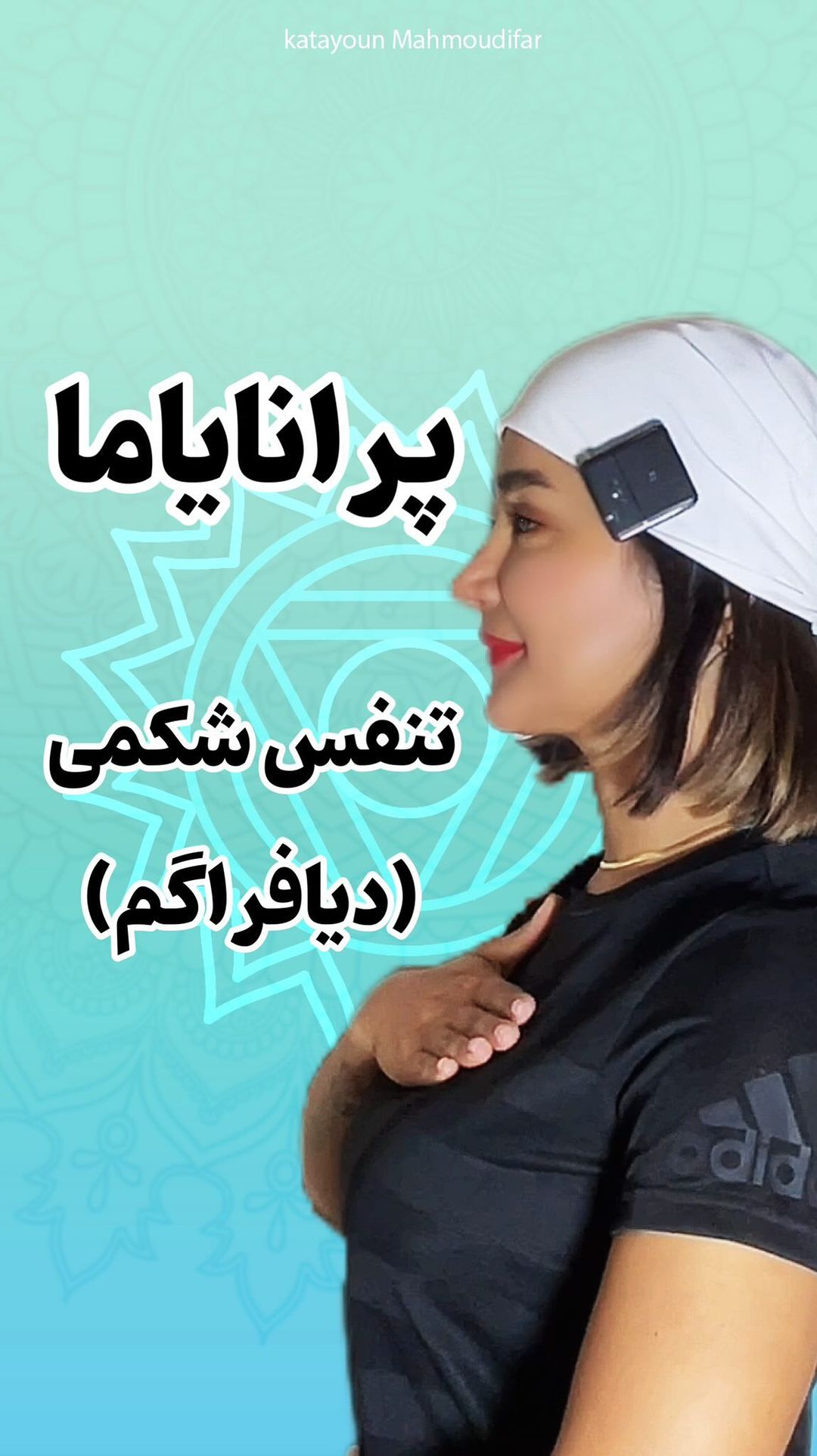 Title of the project